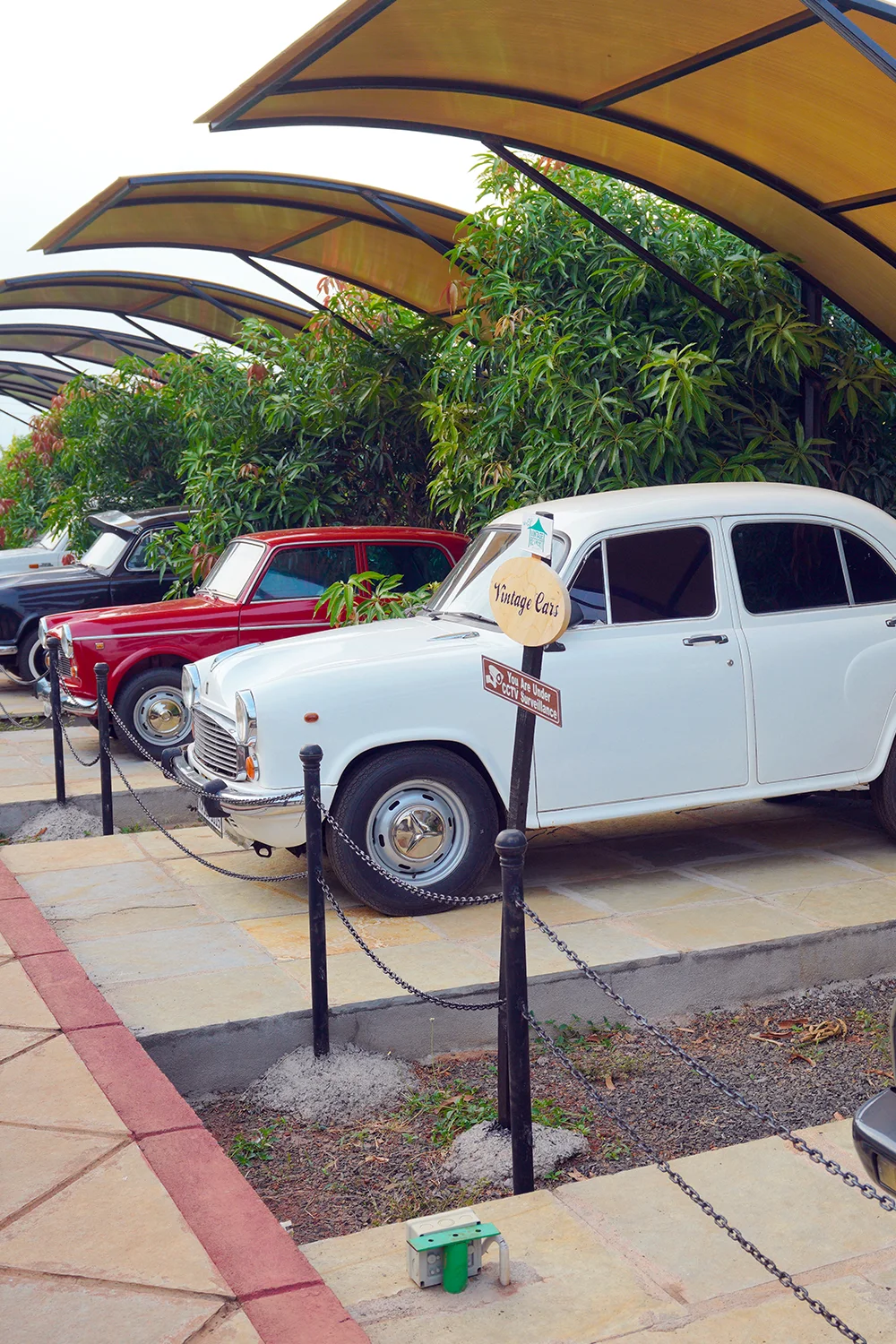 Vintage cars in bidar